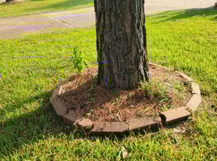 Weeding by Gladis Carcamo for Michael P. in Houston, TX