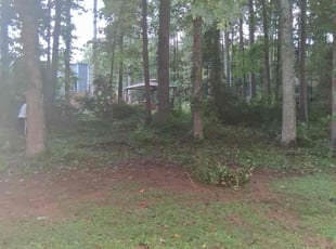 Cleanups by Andrew Jones for Katrina B. in Powder Springs, GA