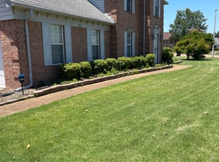Bush Trimming by Adrian Gainer for Plabanee R. in Collierville, TN