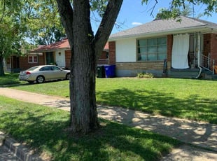 Donna B.'s Lawn Maintenance service result