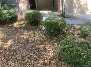 Bush Trimming by DeAndre Lamb for Malitta T. in Humble, TX