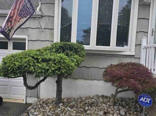 Bush Trimming by Joe Jersets for Ruth c. in Woodbridge Township, NJ