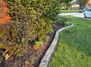 Landscaping by Maurice Williams for Tomeka H. in Frankfort, IL