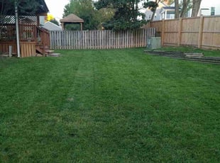 Alanna B.'s Lawn Mowing service result