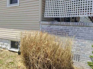 Bush Trimming by Chris Danze for Andrew L. in Audubon, NJ