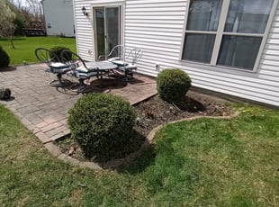 Bush Trimming by Melia Bass-Carlson for Ruth W. in Noblesville, IN