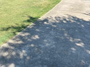 Robert T.'s Lawn Mowing service result