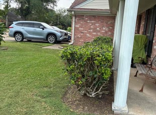 Bush Trimming by Santiago Rodriguez for Leroy S. in Pearland, TX