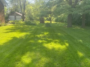 Adrienne S.'s Yard Cutting service result