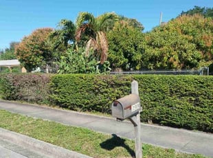 Bush Trimming by Kris Vecchio for Audie W. in West Palm Beach, FL
