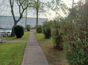 Bush Trimming by Latoya Cole for Tyson R. in Norfolk, VA