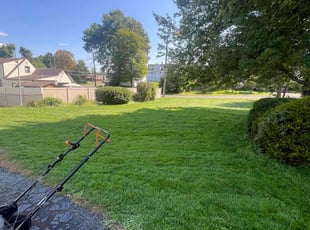 Fitzhugh B.'s Lawn Maintenance service result