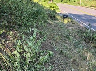 Bush Trimming by Derek Rusher for Mario s. in Atlanta, GA