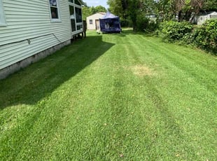 Daniel S.'s Lawn Mowing service result