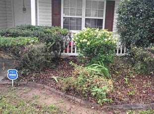 Bush Trimming by Devonte Perkins for Nichole M. in Atlanta, GA
