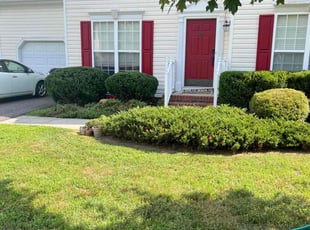 Bush Trimming by EV Jenkins-Benavides for Jesse S. in Chesterfield, VA