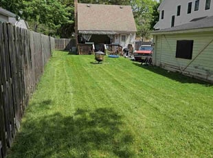 Jeremy W.'s Grass Cutting service result