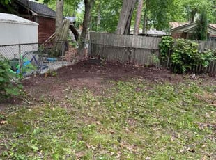 Leaf Removal by Makaylab Hill for Mike C. in Utica, MI