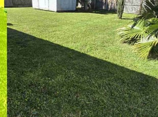 Annie J.'s Lawn Care service result