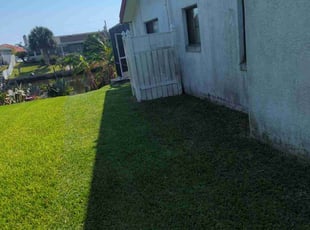 Lissette A.'s Grass Cutting service result
