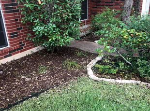 Weeding by Jose Santiago for Whitney D. in Austin, TX