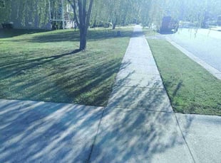 Anna R.'s Lawn Service service result