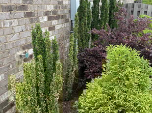 Weeding by Xavier Haygood for Craig W. in Huntsville, AL