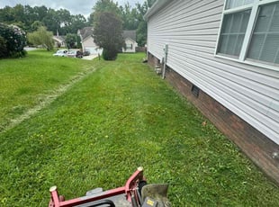 Lisa W.'s Lawn Mowing Service service result