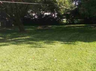 Shaunda W.'s Lawn Mowing Service service result