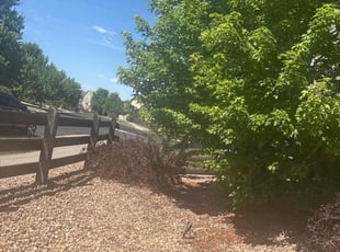 Weeding by Joshua Hines for Amber C. in Aurora, CO