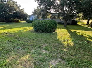Bush Trimming by Jaquin Williams for Thomas S. in Lakeland, FL