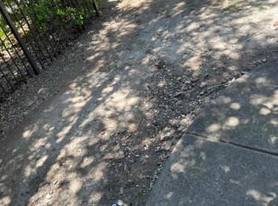 Leaf Removal by Rosa Valencia for Shunika L. in Plano, TX