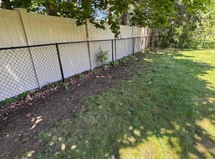 Leaf Removal by Tutu Okundaye for Barbara W. in Randolph, MA