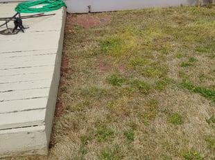 Cleanups by Danny Saldana for Patricia T. in Wichita, KS