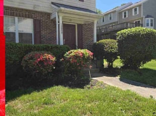Bush Trimming by Zachary Krenik for Ralph T. in Upper Marlboro, MD