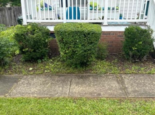 Bush Trimming by Billy Bryant for Debra L. in Clayton, NC