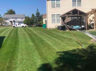 Erik S.'s Lawn Mowing service result
