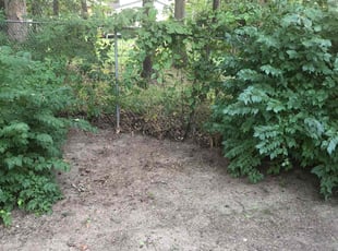 Cleanups by Schadrac Sainvil for Ruba S. in Indianapolis, IN