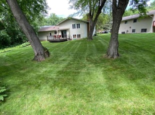 Ryan H.'s Lawn Care service result