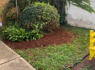 Mulching by Deven Coles for Toure F. in Philadelphia, PA