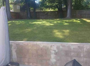 Tamela M.'s Lawn Mowing Service service result