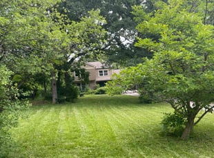 Colleen W.'s Lawn Mowing service result