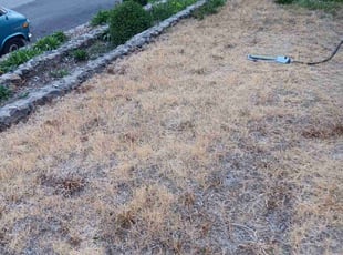 Bush Trimming by Randy Glidewell for Adam C. in Spokane, WA