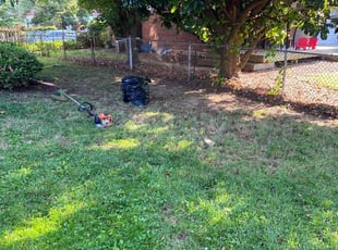 Leaf Removal by Melford Franklin for Dan H. in Baltimore, MD