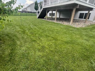 Sangeetha K.'s Lawn Care service result
