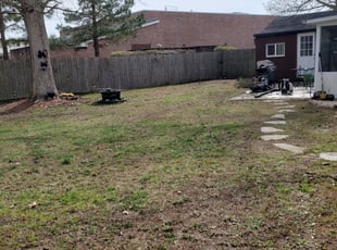 Leaf Removal by Tom Dycus for Courtney M. in Virginia Beach, VA