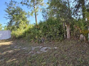 Bush Trimming by Rolando Mojica Betancourt for John R. in Kissimmee, FL