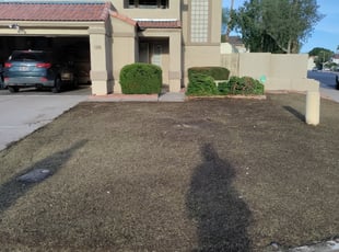 Landscaping by Oscar Laureano for Amanda M. in Chandler, AZ