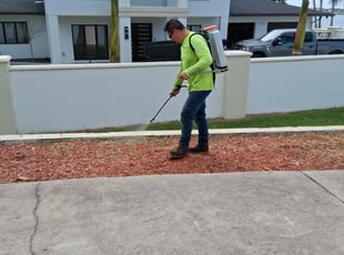 Weeding by Pablo Antonio for Kalle K. in Belleair Beach, FL
