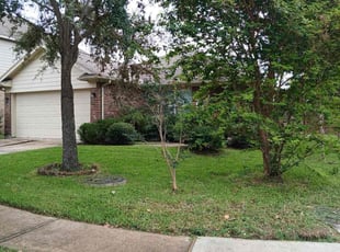 Rita D.'s Grass Cutting service result
